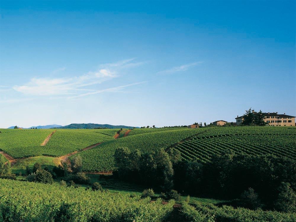 Agriturismo Tenuta La Marchesa Novi Ligure Exterior foto
